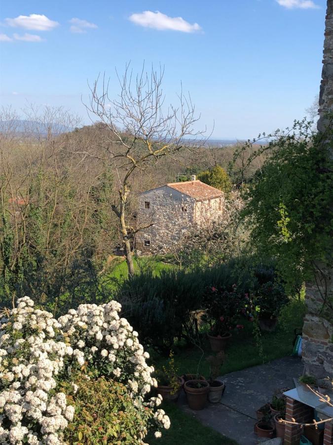 Dolce Vita In Tuscany Cottage Capannori Εξωτερικό φωτογραφία
