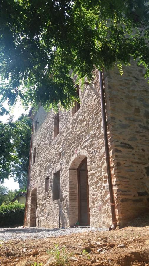 Dolce Vita In Tuscany Cottage Capannori Εξωτερικό φωτογραφία