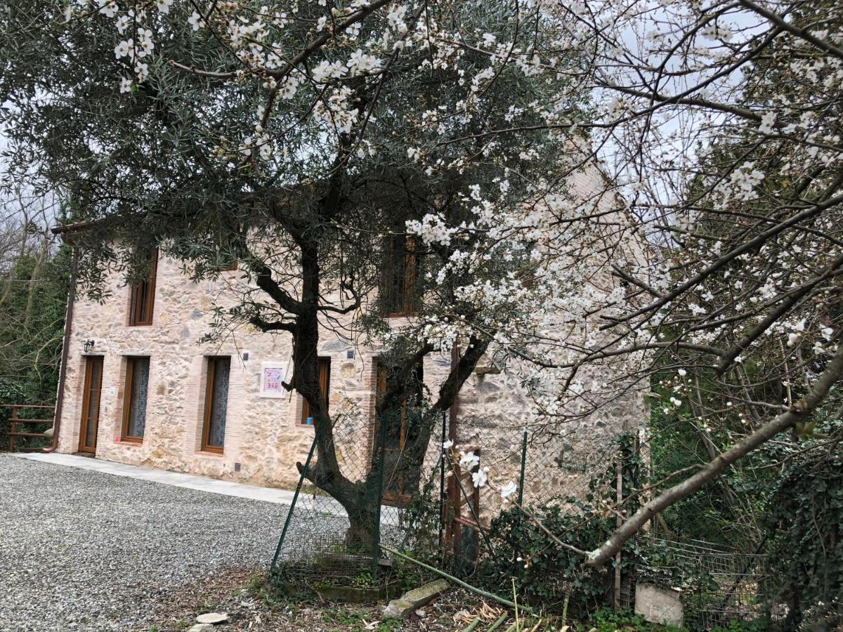 Dolce Vita In Tuscany Cottage Capannori Εξωτερικό φωτογραφία