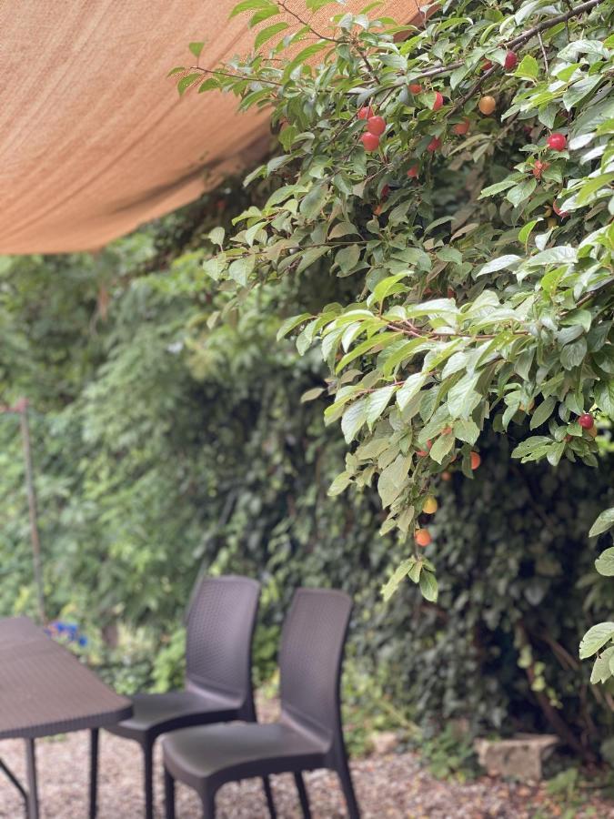 Dolce Vita In Tuscany Cottage Capannori Εξωτερικό φωτογραφία