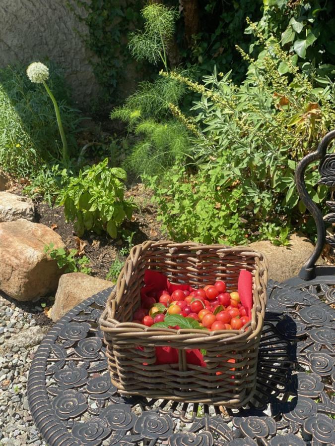 Dolce Vita In Tuscany Cottage Capannori Εξωτερικό φωτογραφία