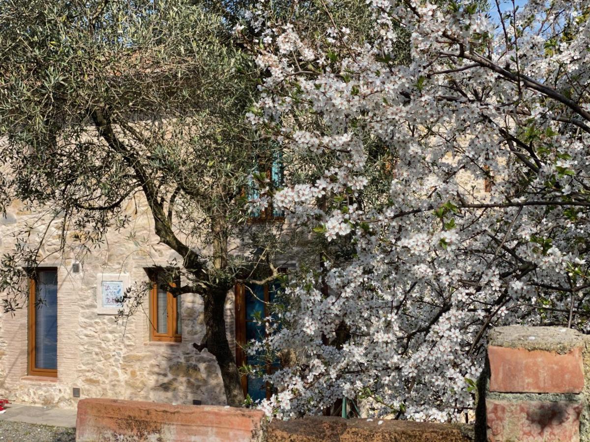 Dolce Vita In Tuscany Cottage Capannori Εξωτερικό φωτογραφία