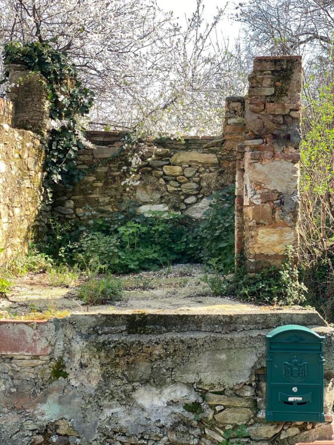 Dolce Vita In Tuscany Cottage Capannori Εξωτερικό φωτογραφία