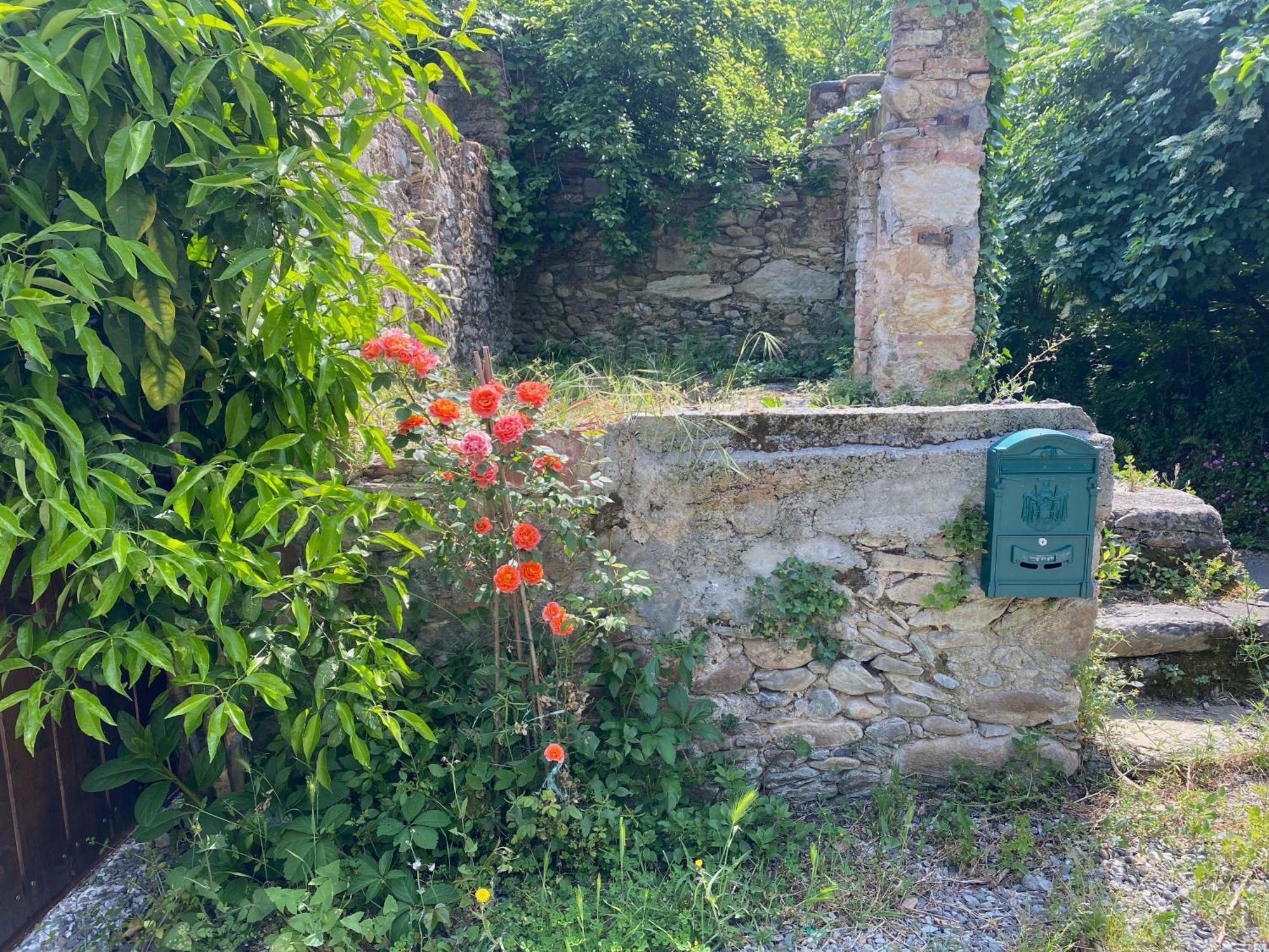 Dolce Vita In Tuscany Cottage Capannori Εξωτερικό φωτογραφία