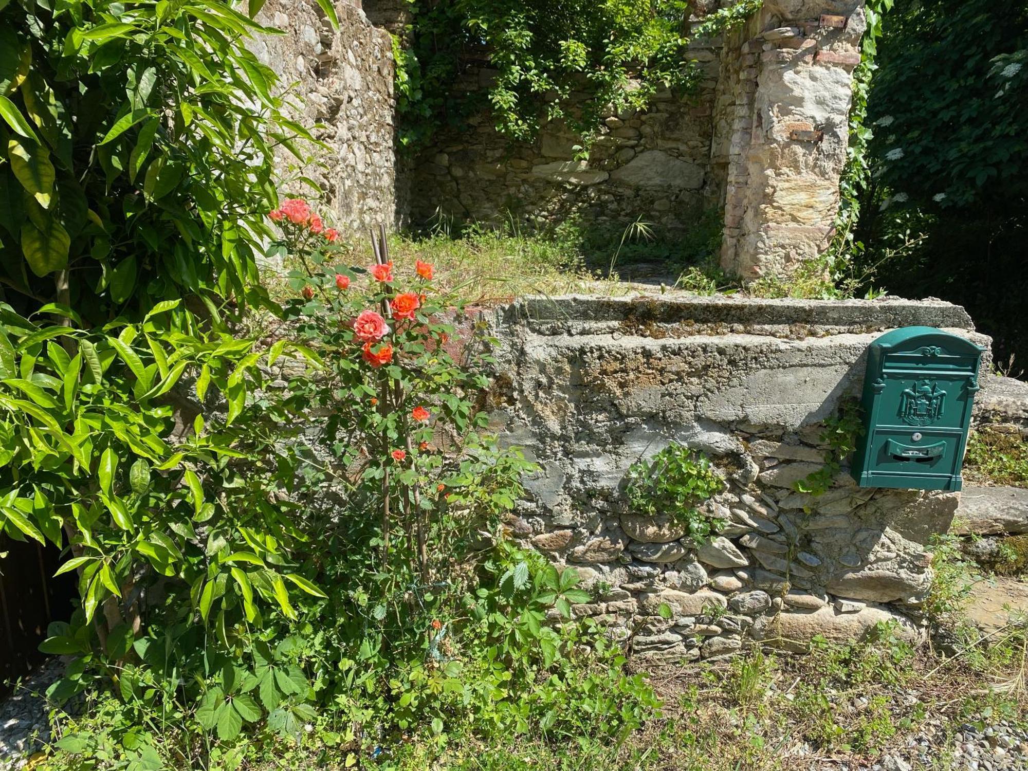 Dolce Vita In Tuscany Cottage Capannori Εξωτερικό φωτογραφία